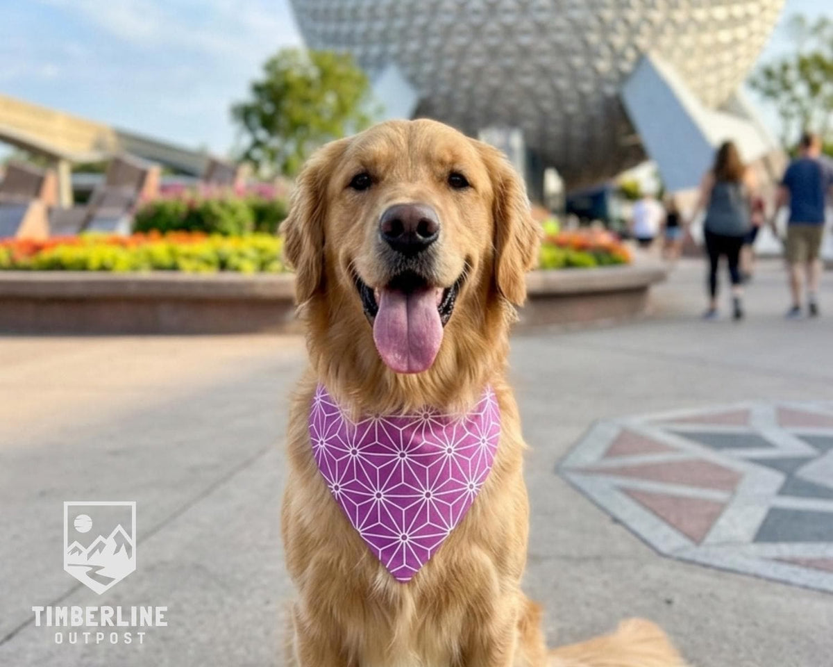 Community of Tomorrow Dog Bandana | Scrunchie Collar | Handmade Pet Accessory | Dog Gift
