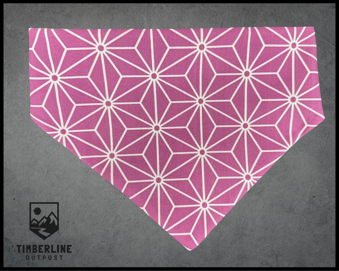 Imagination Dog Bandana- Magically Inspired